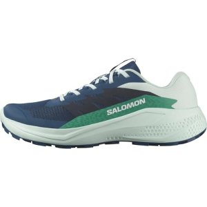 Salomon ALPHAGLIDE Shoes