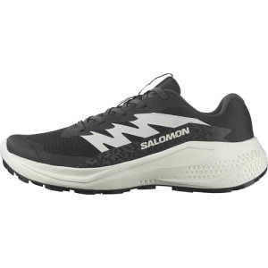 Salomon ALPHAGLIDE Shoes