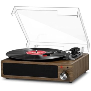 Vinyl Turntable
